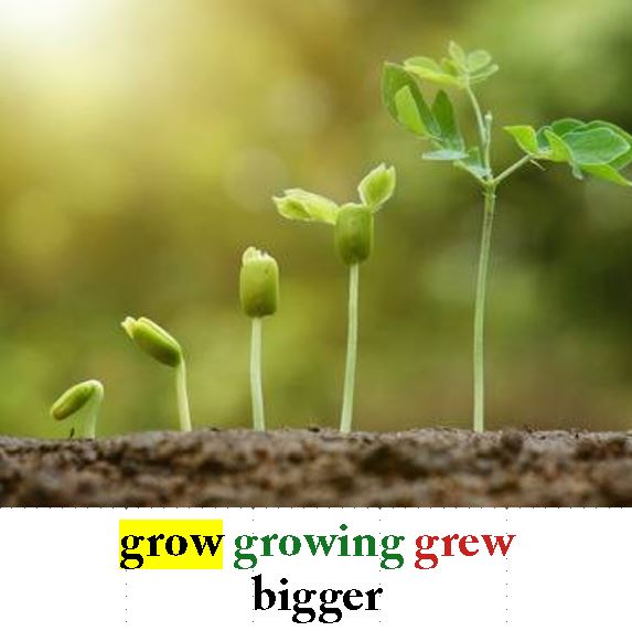 Grow